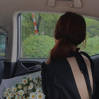 警花燕子